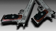 Guns Hitman: Blood Money beret