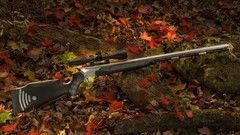 Guns leaves fallen leaves