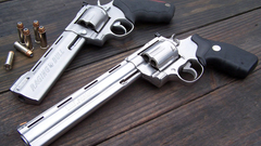 Guns Magnum Raging Bull