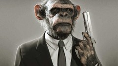 Guns monkeys suite