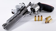 Guns Raging Bull eotech