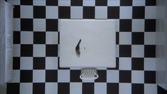 Guns Revolver Crawlspace