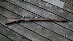 Guns schmidt rubin rubin