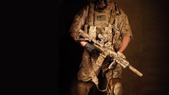 Guns seal military camouflage devgru AOR1