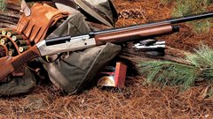 Guns shotguns weapons