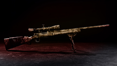 Guns sniper rifles