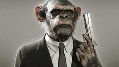 Guns suit apes monkeys