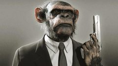 Guns suit monkeys
