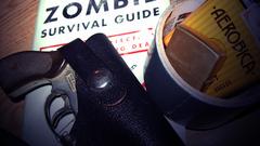 Guns weapons Books zombie