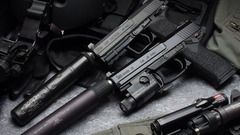 Guns weapons heckler and