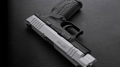 Guns weapons Springfield Armory