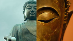 Guys! Buddha going dual alright