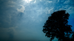 Guys! thanks some post forgot sorry