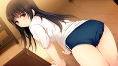 Gym uniforms bloomers coffee-kizoku