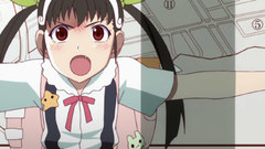 Hachikuji mayoi monogatari series