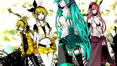 Hair pins stockings open