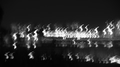 Hakkı.sidar Photography