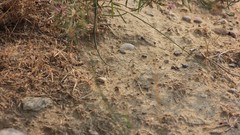 Hakkı.sidar Photography Adana