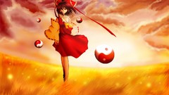 Hakurei reimu detached sleeves