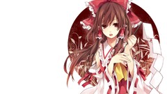 Hakurei reimu touhou miko video games detached sleeves Japanese 