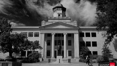 Hall cherries western