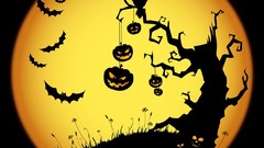 Halloween moon pumpkins