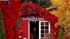 Halloween Washington