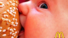 Hamburgers sucking tits funny