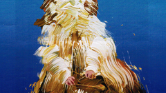 Hamster guinea pigs for