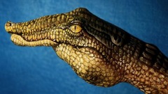 Handpainting must not give