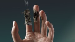 Hands artwork digital art