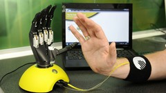 Hands Computers electronics bionic hand