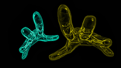 Hands digital art black