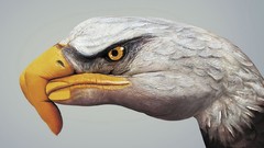 Hands Eagles body painting
