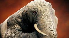 Hands elephants artwork