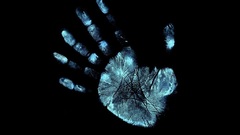 Hands Fringe palm prints