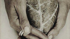 Hands Hearts rings emotions