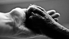 Hands monochrome