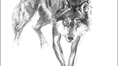 Hands monochrome drawings Boris