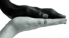 Hands national geographic