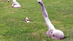 Hands Photo manipulation arms raised