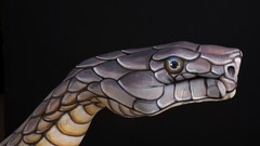 Hands snakes black background body painting