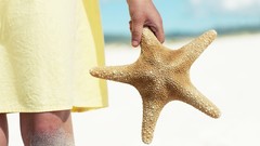 Hands starfish