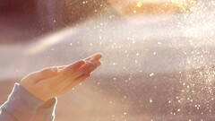 hands sunlight outdoors macro