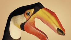 Hands toucans body painting