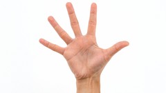 Hands white background