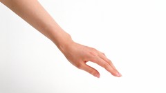 Hands white background