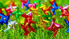 Happiness colors multicolor