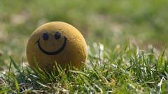 Happy ball funny humor