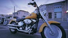 Harley-Davidson motorbikes